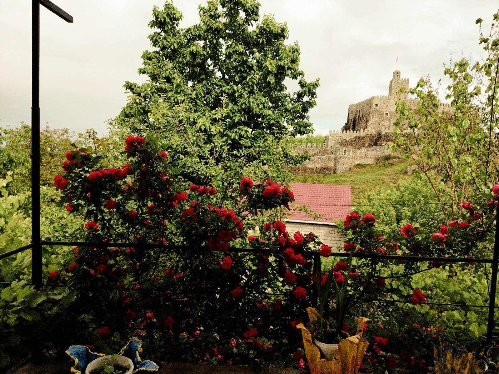 Panorama Rabati Hotel Akhaltsikhe  Exterior photo